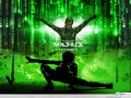 Movie wallpapers: Matrix reloaded wallpaper