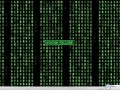 Movie wallpapers: Matrix system failure wallpaper