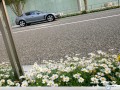 Mazda RX8 by the flower  wallpaper