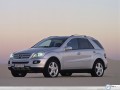 Mercedes wallpapers: Mercedes Class M angle view wallpaper