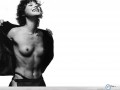 Milla Jovovich wallpapers: Milla Jovovich nude black white happy  wallpaper
