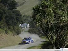 Mitsubishi Rally Wrc road through palms wallpaper