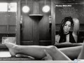 Monica Bellucci wallpapers: Monica Bellucci legs black white  wallpaper