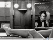 Monica Bellucci legs black white  wallpaper