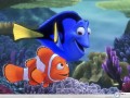 Movie wallpapers: Nemo cloun fish wallpaper