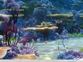 Movie wallpapers: Nemo corall reef  wallpaper