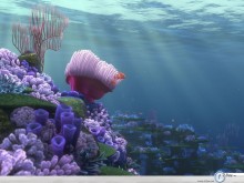 Nemo ocean view wallpaper