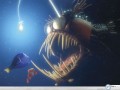 Movie wallpapers: Nemo predator fish wallpaper