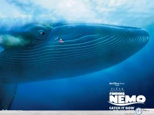 Nemo the big whale wallpaper