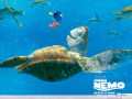 Movie wallpapers: Nemo turtle wave wallpaper