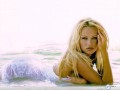 Celebrity wallpapers: Pamela Anderson wet dress wallpaper