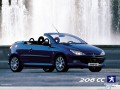 Peugeot 206 CC by waterfall wallpaper