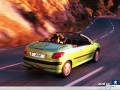 Peugeot wallpapers: Peugeot 206 CC in the road  wallpaper