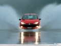 Car wallpapers: Peugeot 206 wet  wallpaper