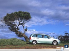 Peugeot 307 and tree wallpaper