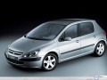 Peugeot 307 grey front angle view wallpaper