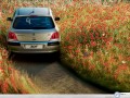 Peugeot wallpapers: Peugeot 307 in flower field wallpaper