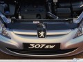 Peugeot 307 SW wallpapers: Peugeot 307 SW up view wallpaper