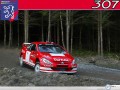 Peugeot Sport wallpapers: Peugeot Sport between bushes wallpaper