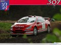 Peugeot Sport front profile  wallpaper