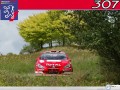 Peugeot Sport wallpapers: Peugeot Sport in meadow  wallpaper
