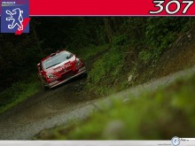 Peugeot Sport in turn  wallpaper
