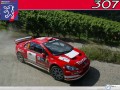 Peugeot Sport race car wallpaper