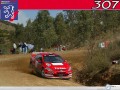 Peugeot Sport race wallpaper