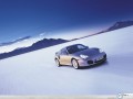 Porsche 911 Turbo wallpapers: Porsche 911 Turbo on snow wallpaper