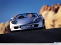 Porsche wallpapers: Porsche Carrera GT from uphill wallpaper
