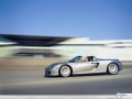 Porsche wallpapers: Porsche Carrera GT high speed wallpaper