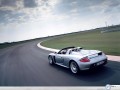 Porsche Carrera GT in turn of road wallpaper