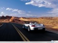 Porsche Carrera GT silver in road wallpaper