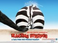 Racing Stripes wallpaper