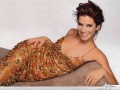 Sandra Bullock wallpapers: Sandra Bullock sexy dress wallpaper