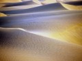 Sandy dunes  wallpaper