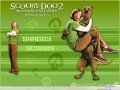 Movie wallpapers: Scoobydoo wallpaper
