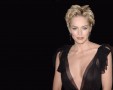 Sharon Stone wallpapers: sharon stone in sexy see-through dress