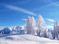 Nature wallpapers: Snow Wallpaper