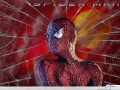 Spiderman wallpapers: Spiderman wallpaper