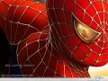 Spiderman wallpapers: Spiderman wallpaper