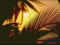 Sunset wallpapers: Sunset in the jungle