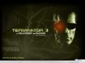 Movie wallpapers: Terminator wallpaper