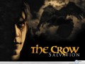 The Crow wallpapers: The Crow wallpaper