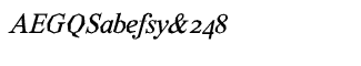 Serif fonts T-Y: Tim Bold Italic