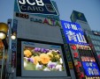 City wallpapers: Tokyo Wallpaper