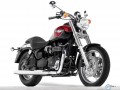 Motorcycle wallpapers: Triumph wallpaper