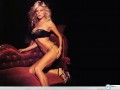 Victoria Silvstedt sexy black lingery wallpaper