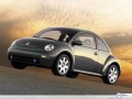Volkswagen New Beetle going uphill wallpaper