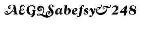 Serif fonts T-Y: WTC Goudy Swash CE Bold Italic